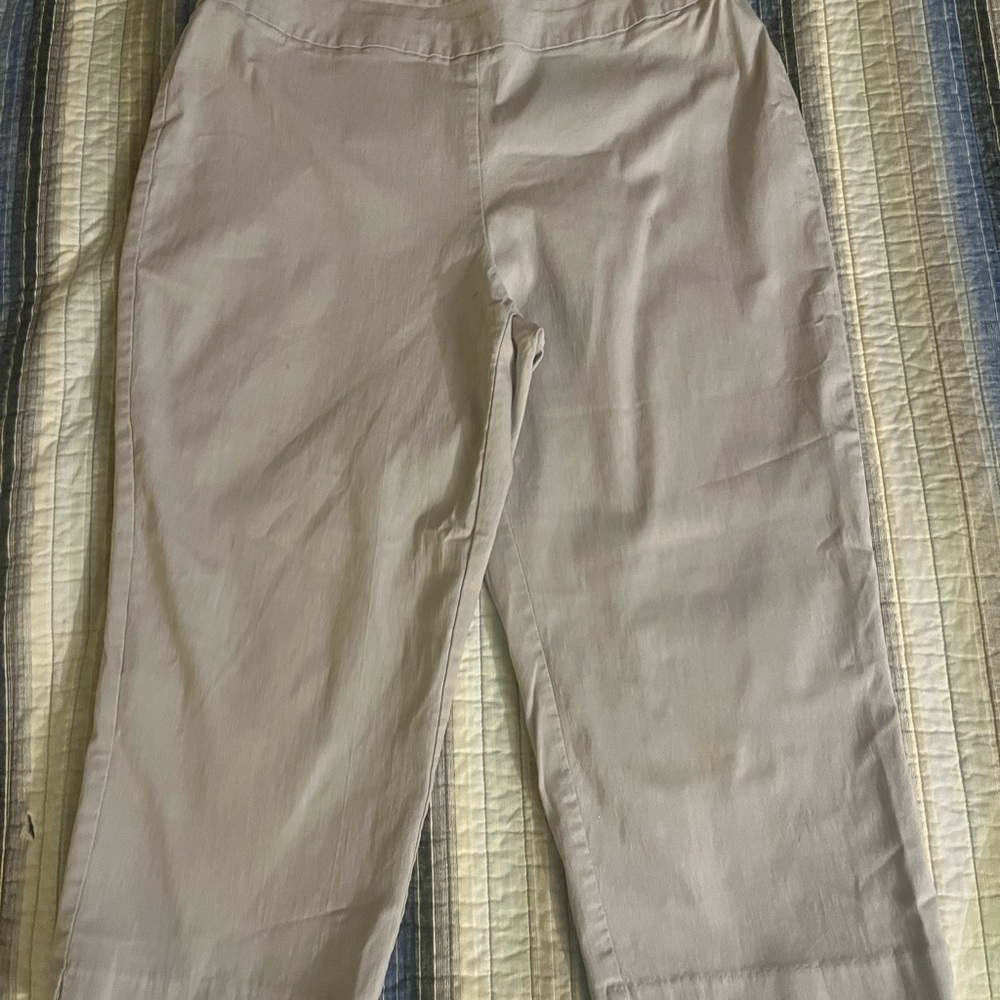 Dana Buchman Women's Tan Bermudas